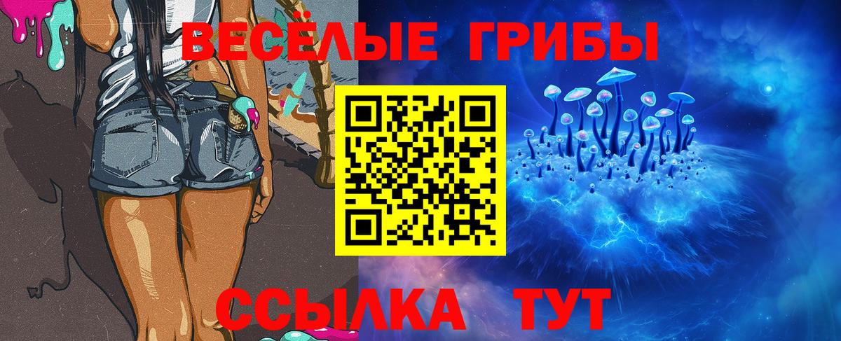 Псилоцибиновые грибы ЛСД  Вход с VPN  Галлюциногенные грибы Psilocybine cubensis  Георгиевск 